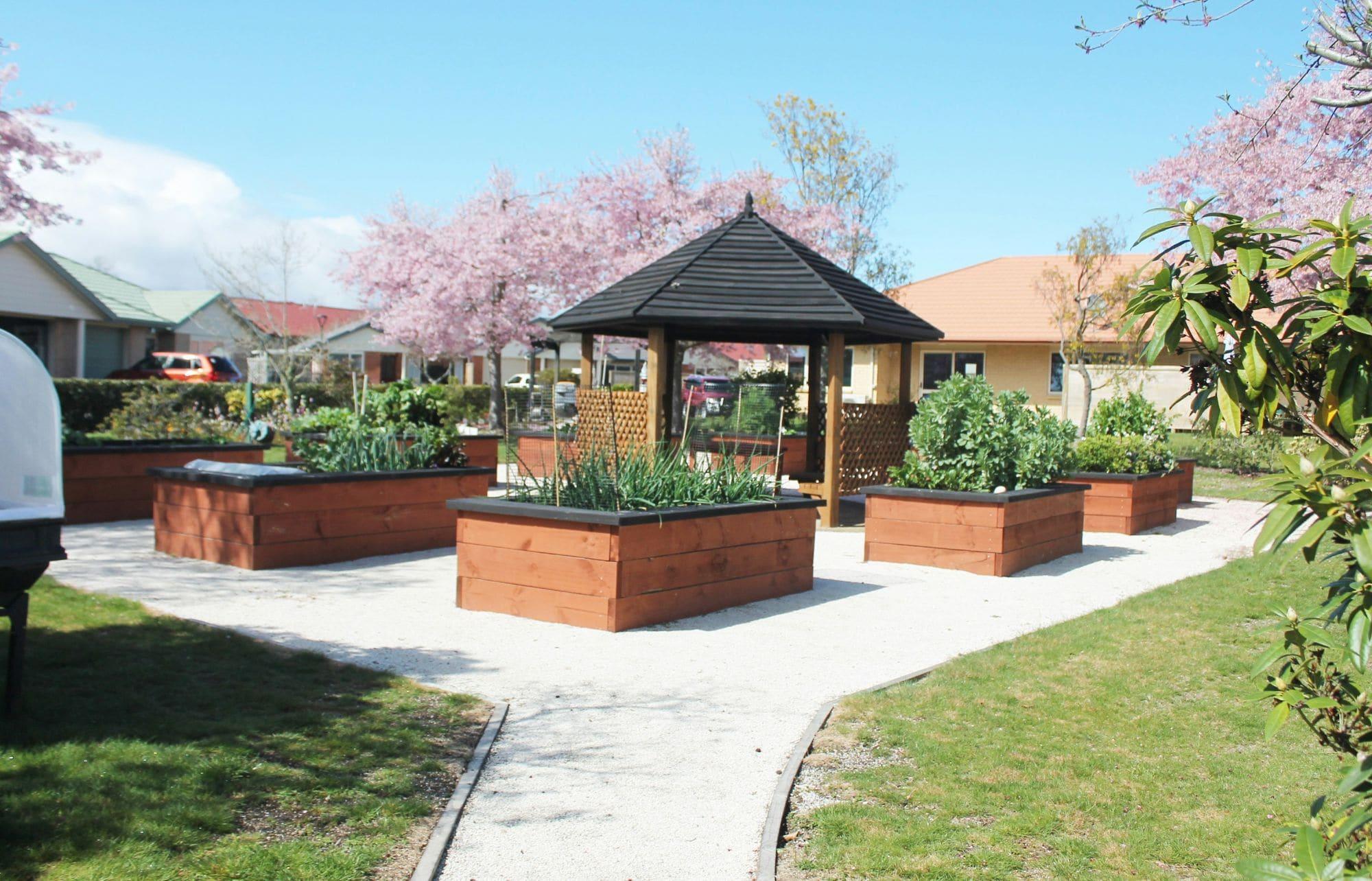 Raised vegetable beds and a wooden gazebo in a shared garden between single-storey homes.